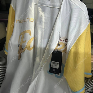 한화이글스 x 꿈돌이 110 류현진 마킹