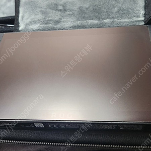 흑갈리 Rog Ally X 로그엘라이 X 1테라 & 외장SD카드 1테라 팝니다.