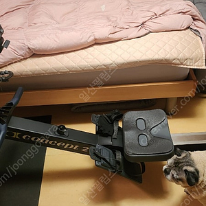 Concept2 model D 로잉머신