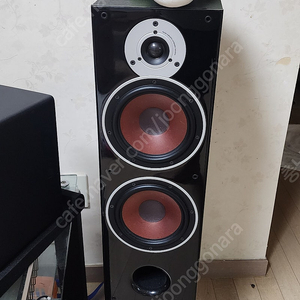 달리 dali 젠서 톨보이 + 케이블