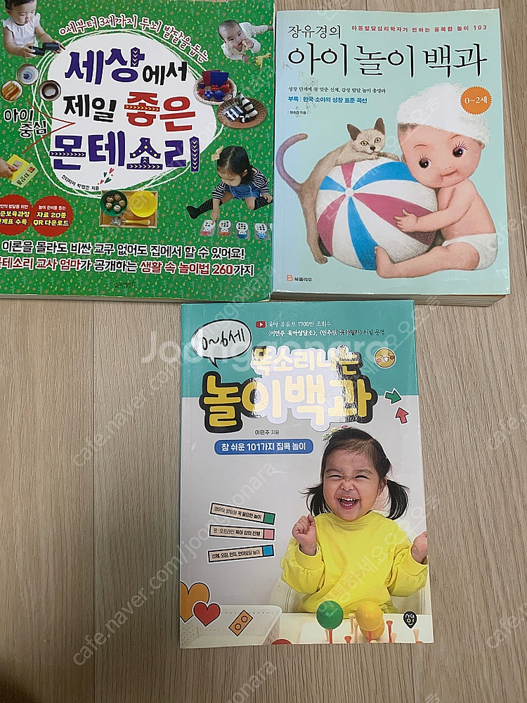 아이 놀이 책 (세상에서 제일 좋은 아이 중심 몬테소리, 똑소리나는 놀이백과, 장유경의 아이 놀이 백과)--0