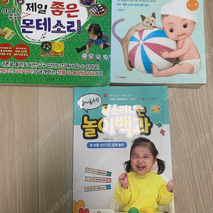 아이 놀이 책 (세상에서 제일 좋은 아이 중심 몬테소리, 똑소리나는 놀이백과, 장유경의 아이 놀이 백과)