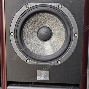 포칼 focal solo 6be 1조