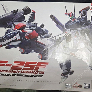 반다이 dx 마크로스 VF-25F 리바이벌 ver 미개봉 + VF-25G 리바이벌 ver 미개봉 일괄 판매