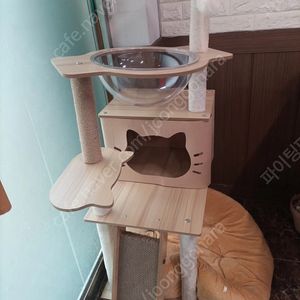 틱톡 낚시함께해용