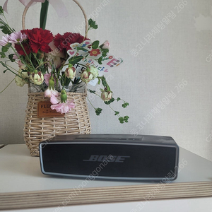 Bose SoundLink Mini 2