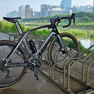 트렉 마돈 SL6 56사이즈