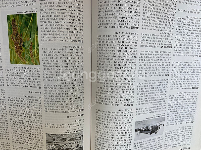 브리태니커 백과사전 전권29권 (연감2권포함)--2