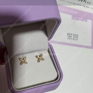 골든듀 18k 귀걸이 여러가지