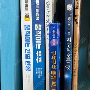 무브무브 플랩북2권, 공룡그림책, 구석구석들춰봐 태양계, 지구의 모든 것, 해적선의 비밀 총 6권