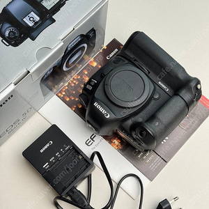 캐논 5d mark4 오막포 , 신계륵 24-70L , 할배백통 28-300mm , 새새아빠 EF 70-200L Ⅲ , EF 11-24L , 새아빠 , 오이만두