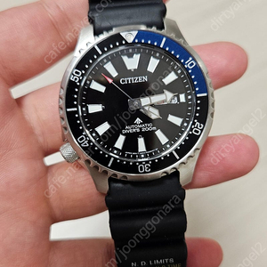 시티즌 신형복어 44mm 사파이어글라스 / 복어 인그레이빙