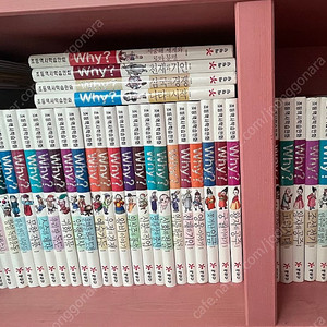 Why. 초등 역사만화