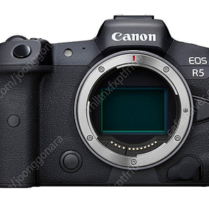 캐논 eos r5 rf 70-200 f4 형아계륵 판매합니다.