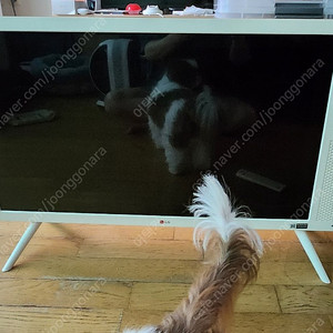 LG 레트로 클래식 TV 32LN630R