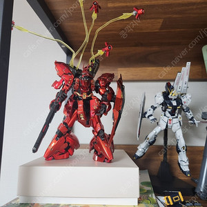 RG 사자비(스페셜코팅+에칭) & 뉴건담(티타늄피니쉬+더블핀판넬) 프라모델 완성품
