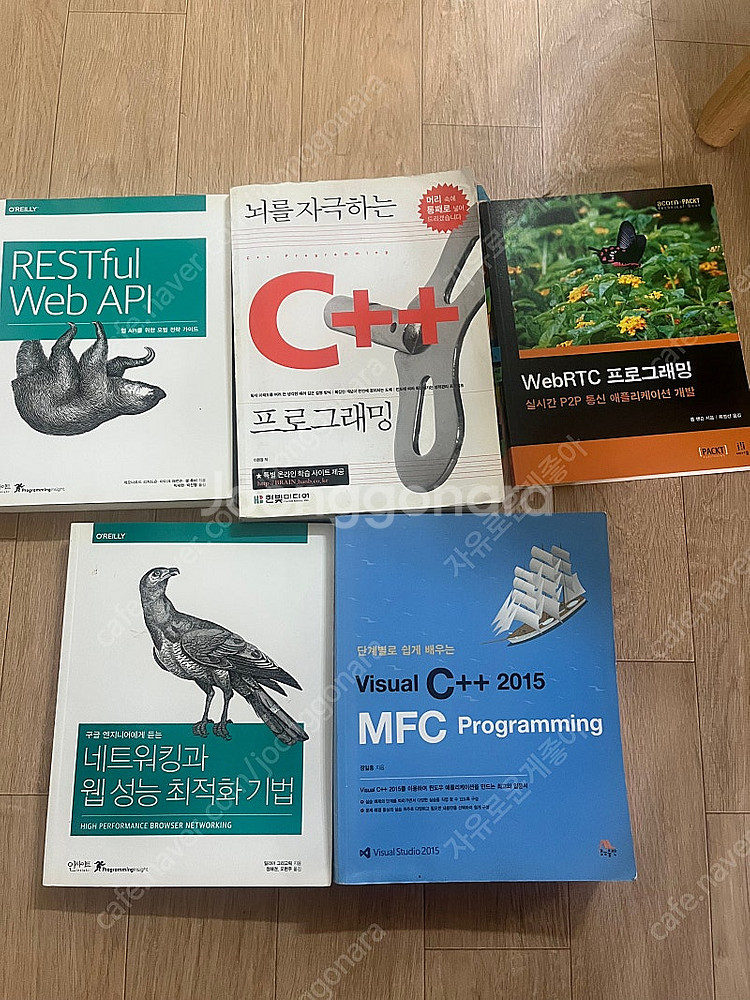 프로그래밍 web api, 네트워킹과 웹 성능 최적화 기법, mfc 프로그래밍, C언어, web RTC--0