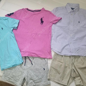 폴로 6T 일괄택포 4.2