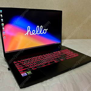 MSI 17인치 3060, i5-10500H 게이밍노트북