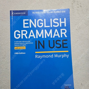 English grammar in use