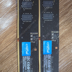 DDR5-4800 CL40 대원씨티에스 (8GB)