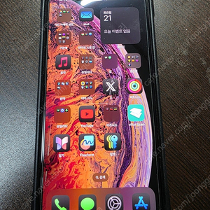 아이폰 XS MAX 256 GB 팝니다. (iPhone Xs Max)