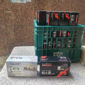 피스존 가스타이머 가스차단기