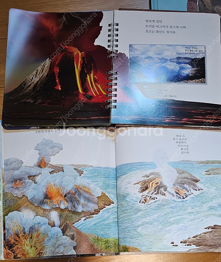 지식책 과학책 마퍼월 첫발견 열려라지식문 프뢰벨 과학특...--1