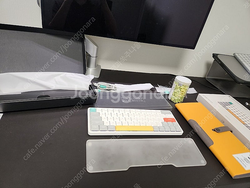 누피 air60 v2 화이트(위스테리아,알로에,v3케이...--0