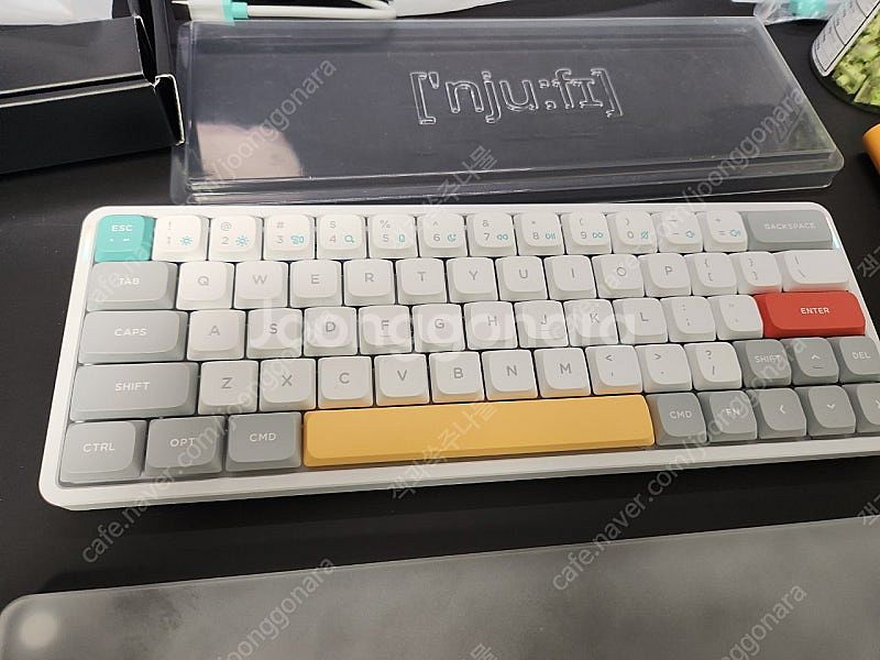 누피 air60 v2 화이트(위스테리아,알로에,v3케이...--1
