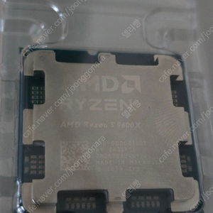 ryzen 9600x