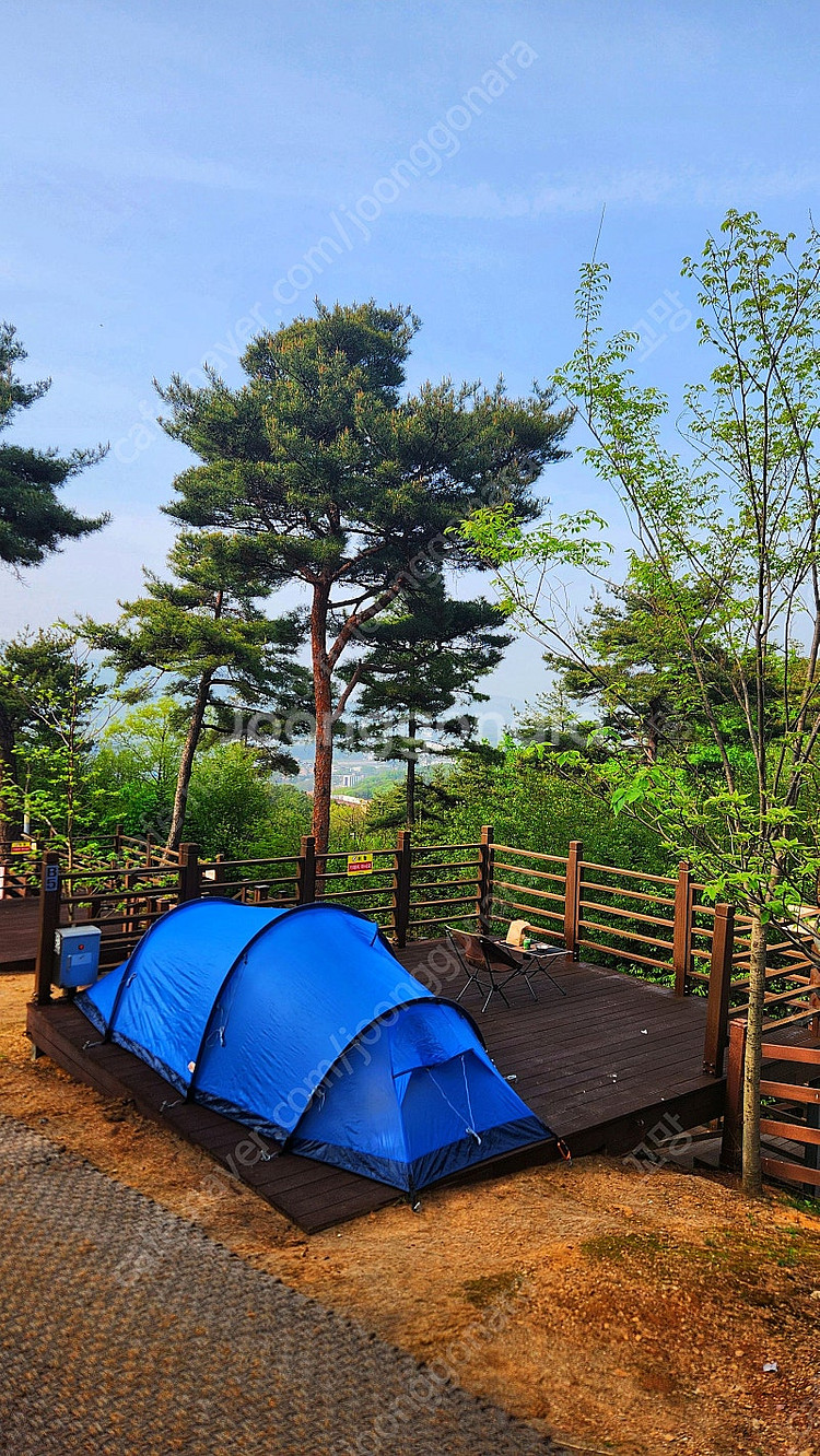 피엘라벤 아비스코 쉐이프 3 + 맥아웃도어 그라운드 시...--0