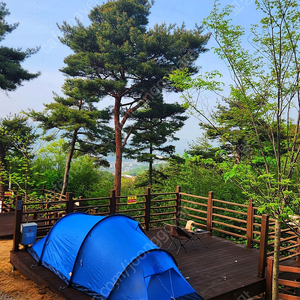 피엘라벤 아비스코 쉐이프 3 + 맥아웃도어 그라운드 시트