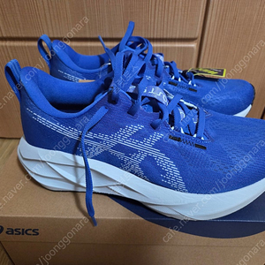 아식스 노바블라스트5 245 2e 파랑색 새상품 팝니다.