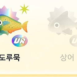 틱톡 낚시에서 물고기삽니다.