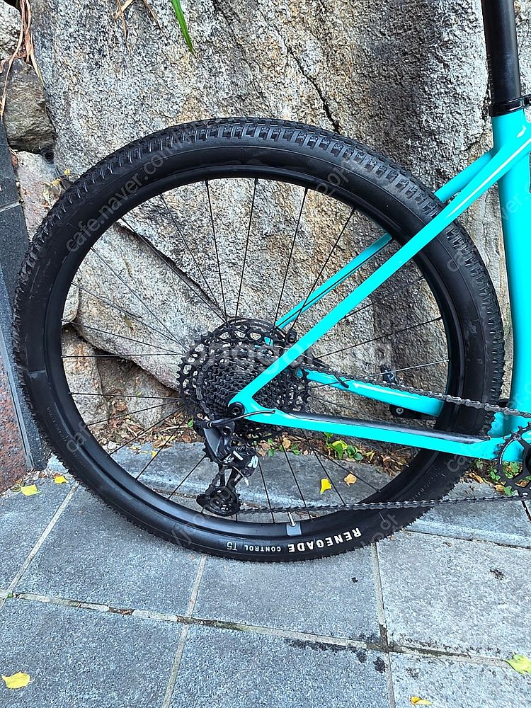 MTB 스페셜라이즈드 에픽 하드테일 베이스 2022 (L)--4