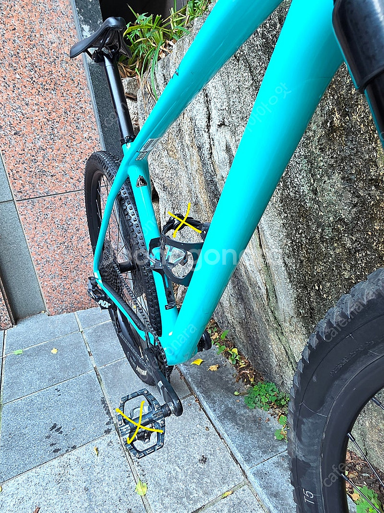 MTB 스페셜라이즈드 에픽 하드테일 베이스 2022 (L)--5