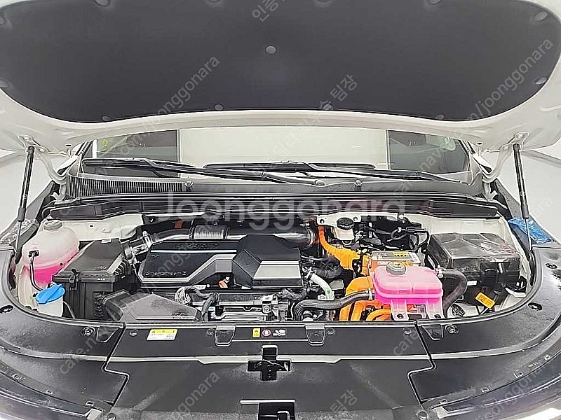기아 더뉴 카니발 중고 가격 중고 카니발 흰색 2025...--6