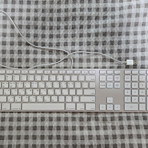 부품용) 애플 키보드 A1243