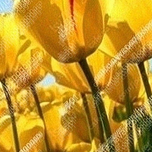 메가박스 카라멜 팝콘 L