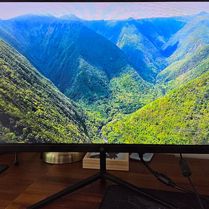 레안텍 24인치 240Hz 게이밍 모니터