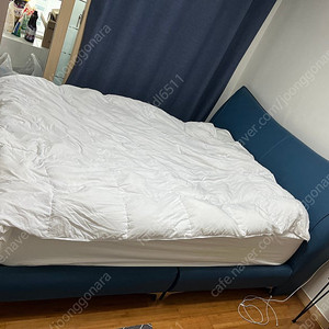 퀸 침대