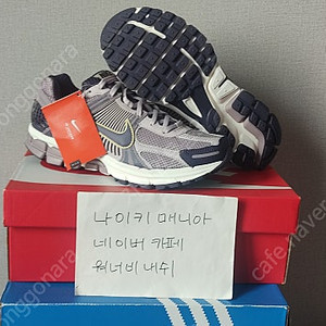 [260] 나이키 줌 보메로 5 플래티넘 바이올렛