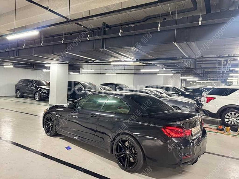 BMW M4 중고 BMW 중고 2015년식 컨버터블 중...--5