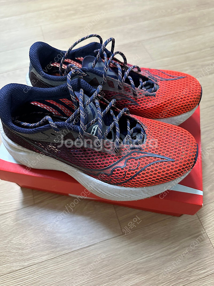 런닝화-써코니 엔돌핀프로3 240--1