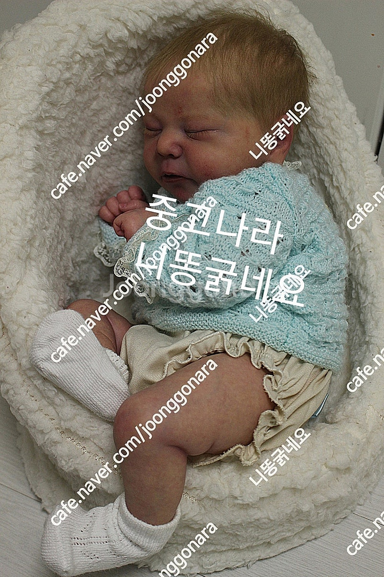 리본돌--1