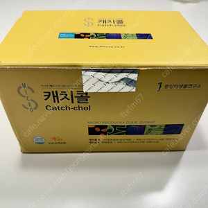 캐치콜