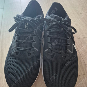 나이키 줌페가수스40 275
