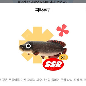 틱톡라이트 낚시 매입합니다