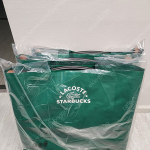 스타벅스 라코스테 폴딩체어 그린